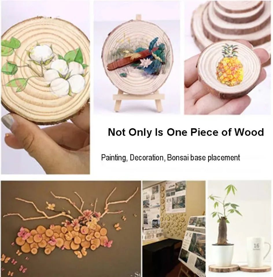 Natural Pine Wood Slices with Bark