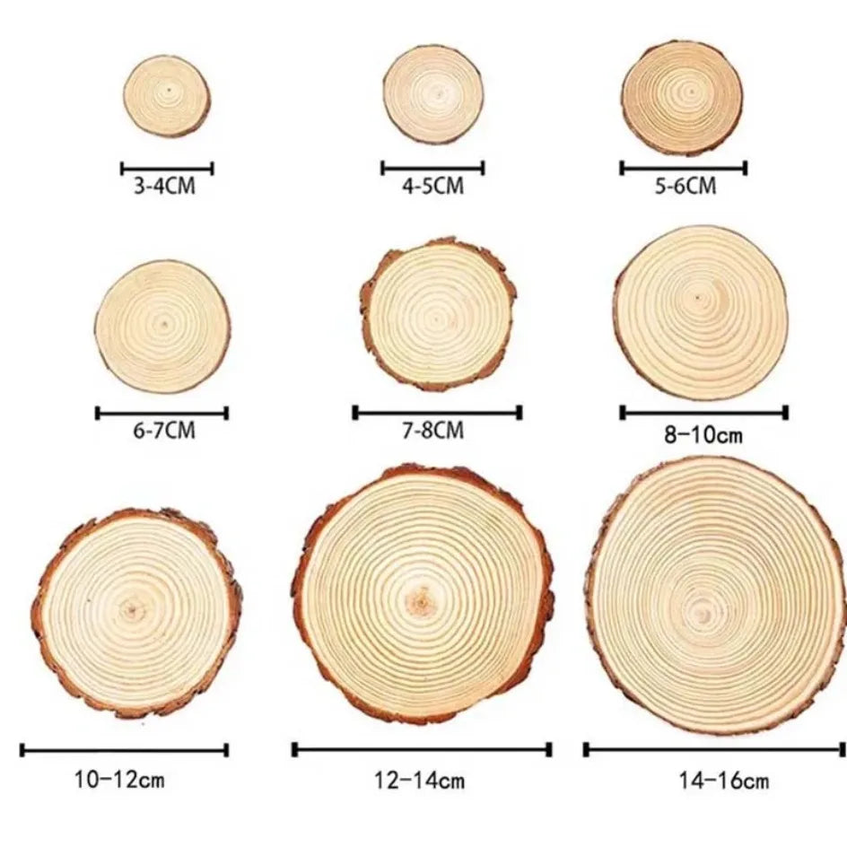 Natural Pine Wood Slices with Bark
